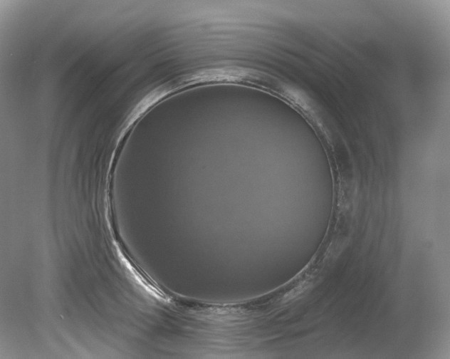 X0000080150802200612081320