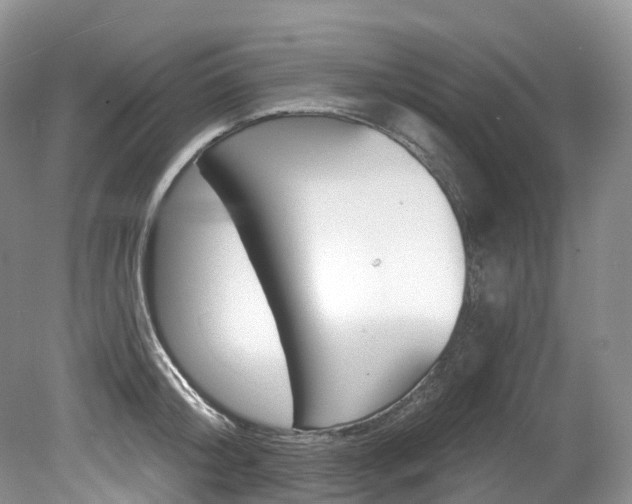 X0000080150804200612081320