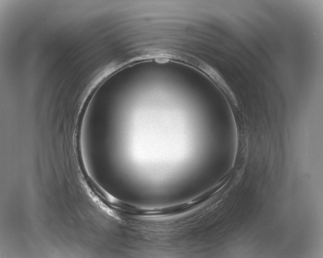 X0000080150805200612081320