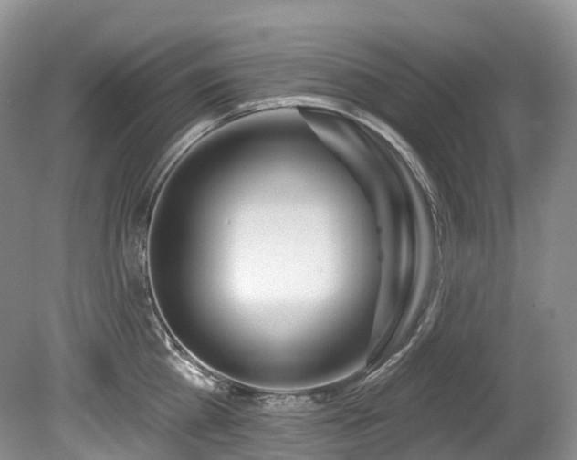 X0000080150809200612081320