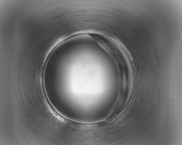 X0000080150813200612081320