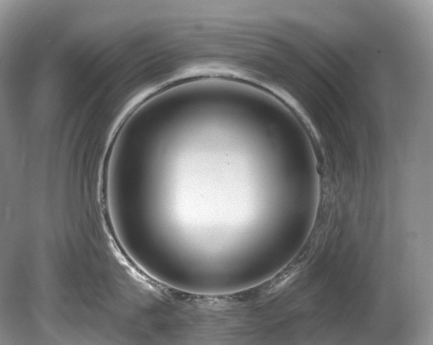 X0000080150815200612081320