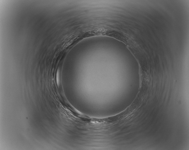 X0000080150818200612081319