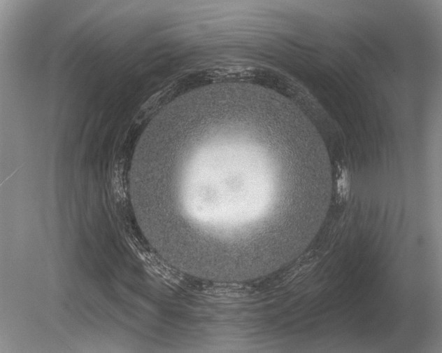 X0000080150819200612081319
