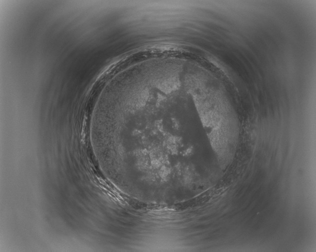 X0000080150823200612081319