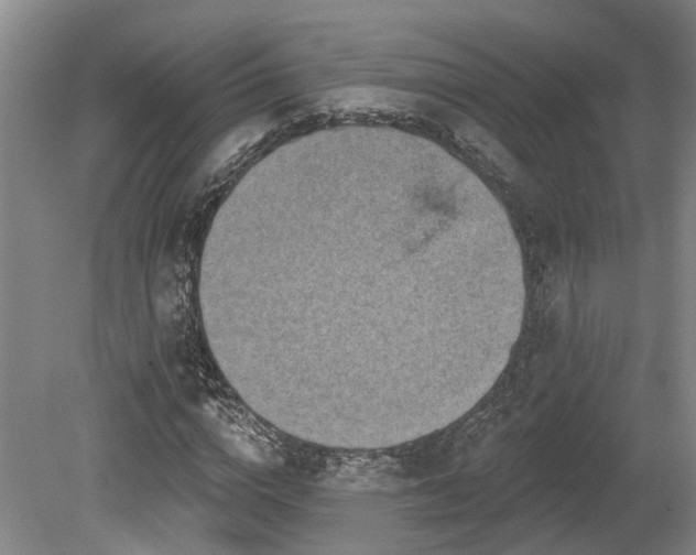 X0000080150824200612081319