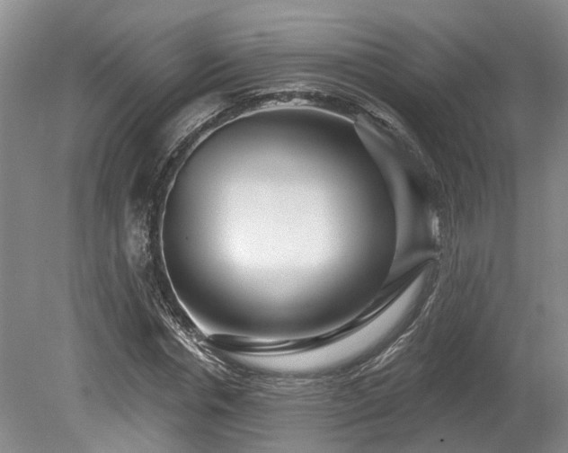 X0000080150826200612081319