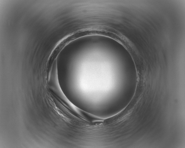 X0000080150830200612081319
