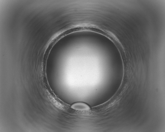 X0000080150831200612081319
