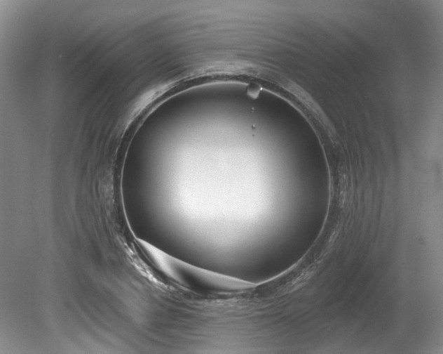 X0000080150834200612081319