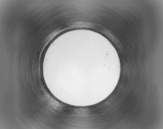 X0000080150836200612081319