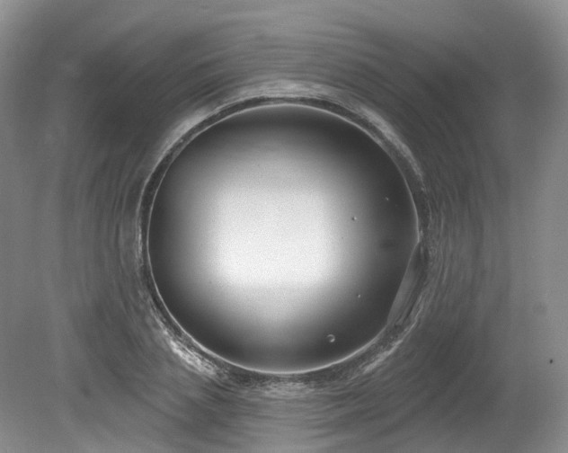 X0000080150837200612081319
