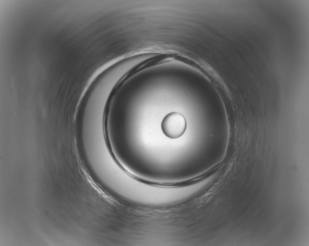 X0000080150838200612081319
