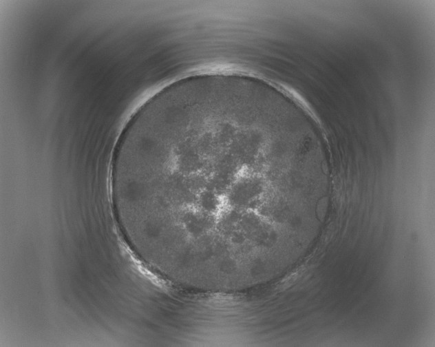 X0000080150839200612081319