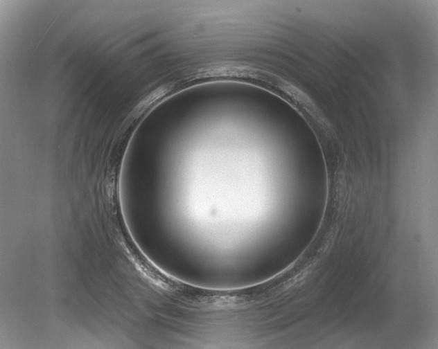 X0000080150841200612081320