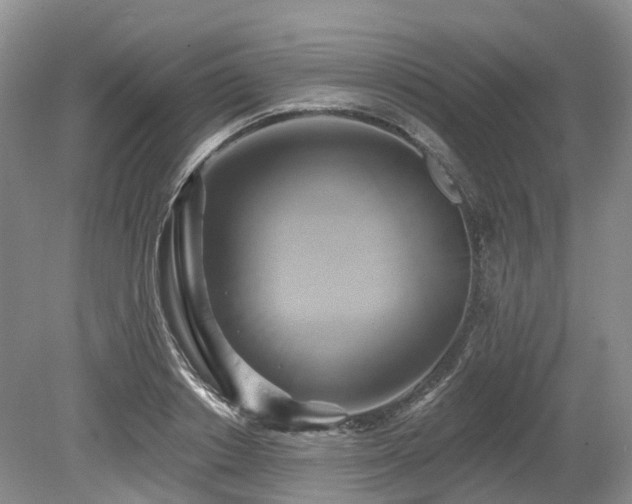 X0000080150842200612081320