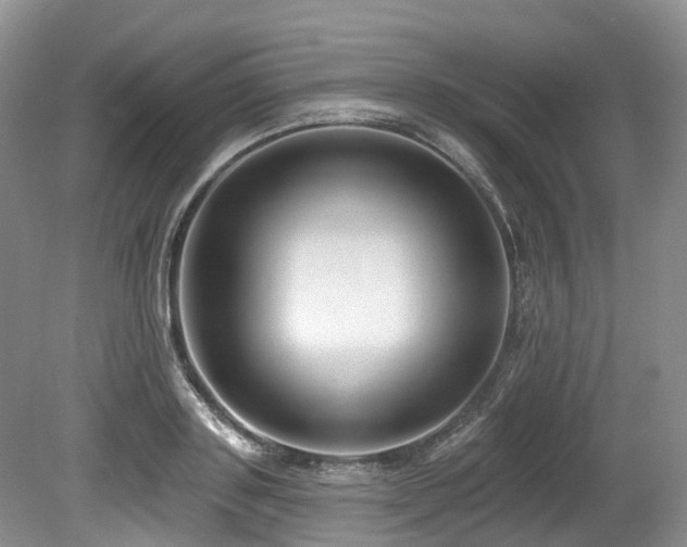 X0000080150843200612081320