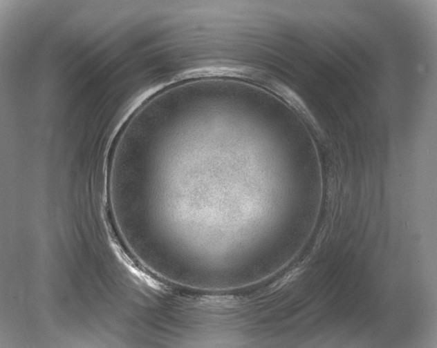 X0000080150844200612081320
