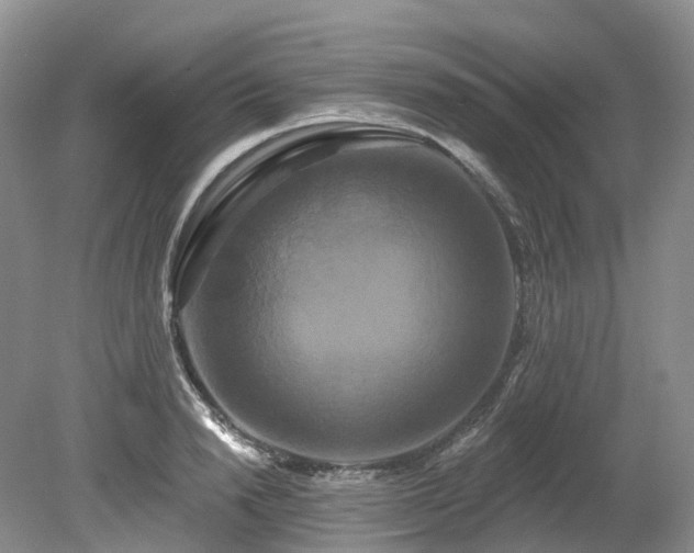 X0000080150846200612081320