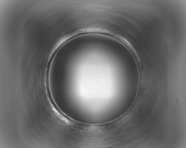 X0000080150847200612081320