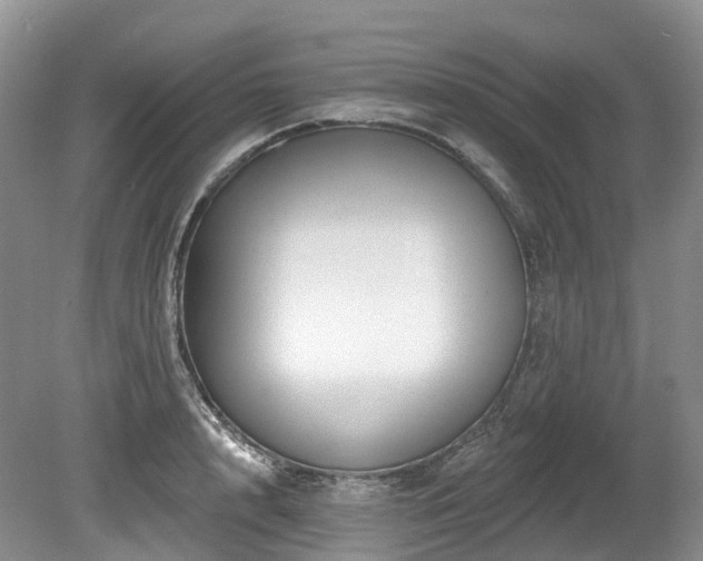 X0000080150848200612081320