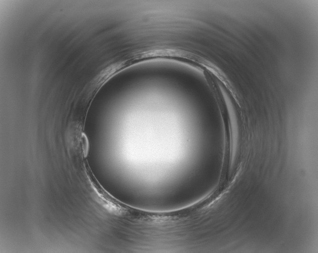 X0000080150849200612081320