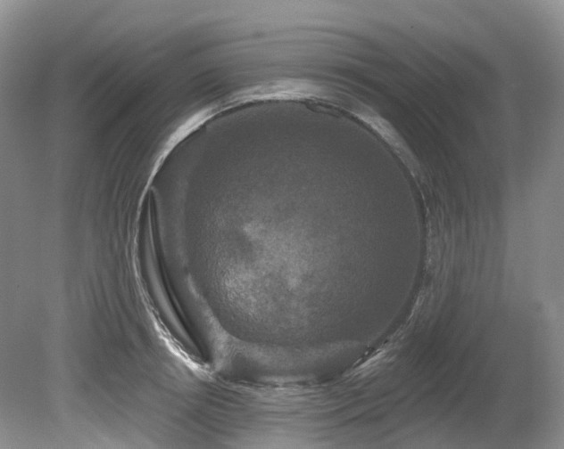 X0000080150850200612081320