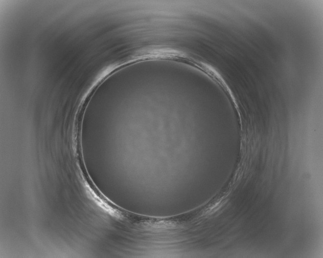X0000080150851200612081320