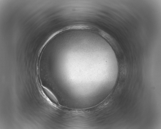 X0000080150852200612081320