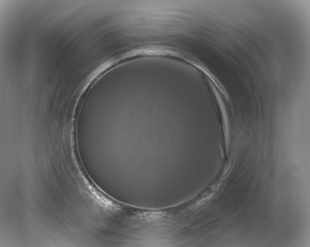 X0000080150853200612081320