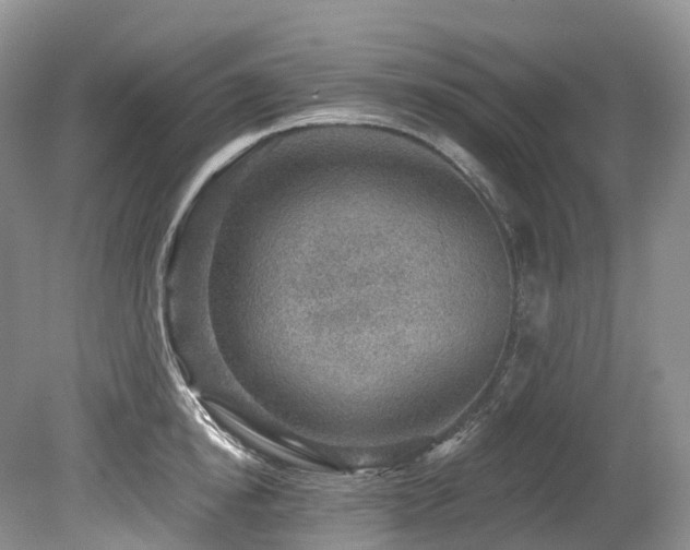 X0000080150854200612081320