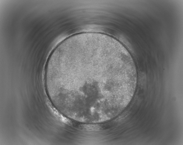 X0000080150856200612081320