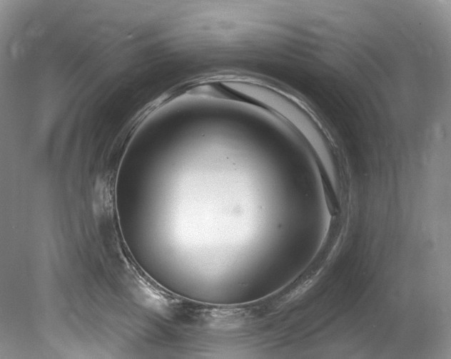 X0000080150857200612081320