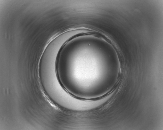 X0000080150858200612081320