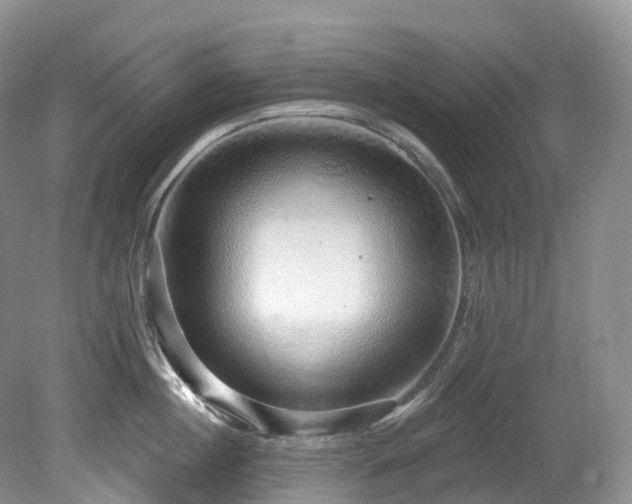 X0000080150860200612081320