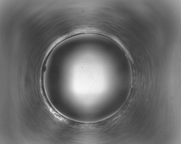 X0000080150861200612081320