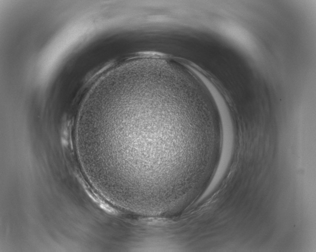 X0000080150862200612081320