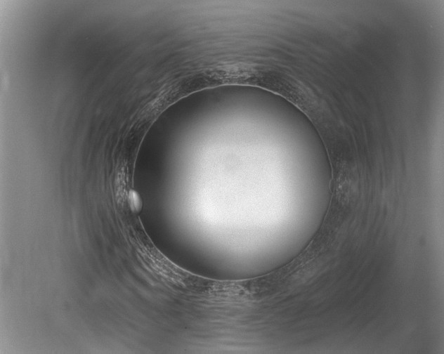 X0000080150866200612081319
