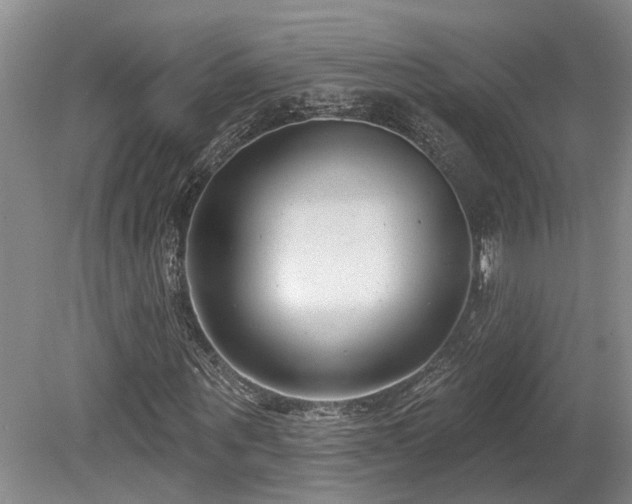 X0000080150867200612081319
