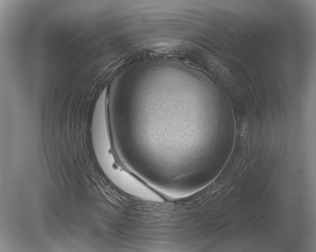 X0000080150868200612081319