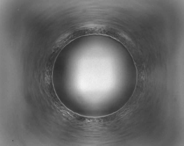 X0000080150869200612081319