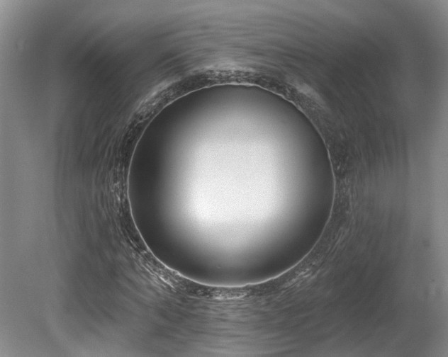 X0000080150870200612081319