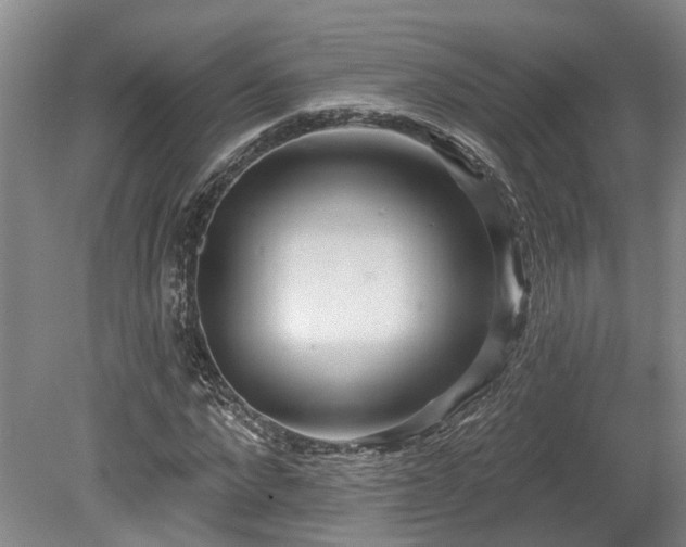 X0000080150872200612081319