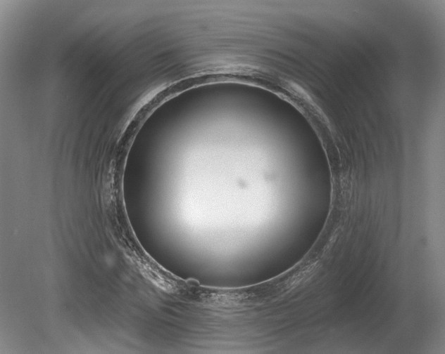 X0000080150875200612081319
