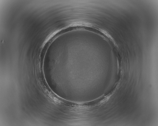 X0000080150877200612081319