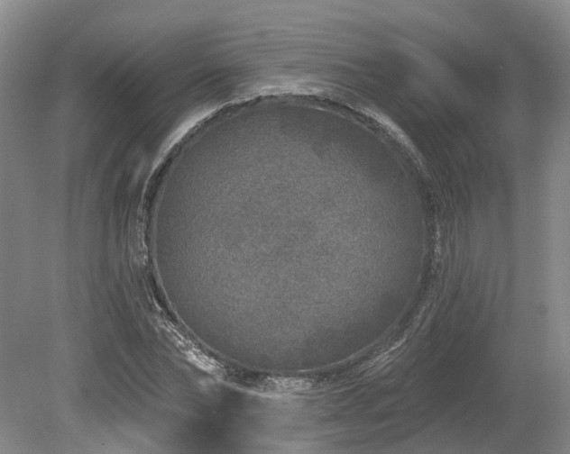 X0000080150878200612081319