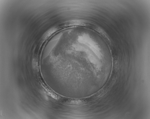 X0000080150882200612081319