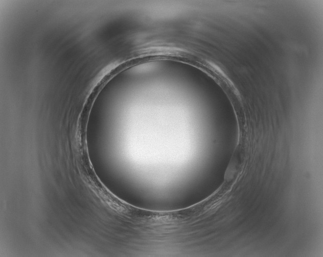 X0000080150883200612081319