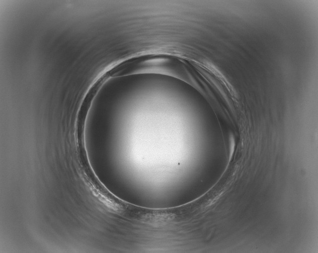 X0000080150884200612081319