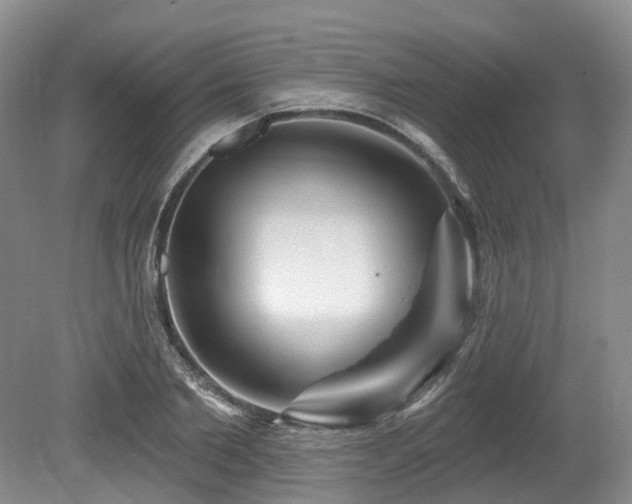 X0000080150885200612081319